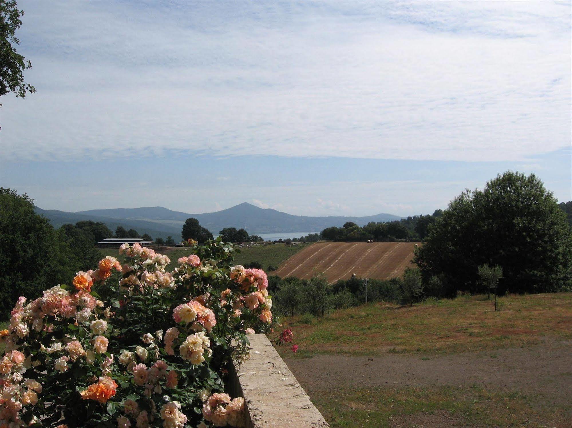 Agriturismo La Gismonda Bracciano  Buitenkant foto